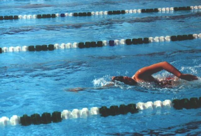 swimming.jpg